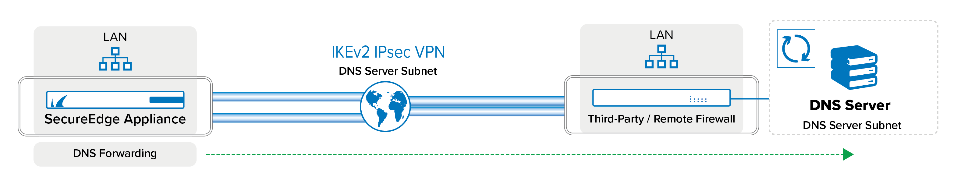 se_agent_ipsec_dns.png