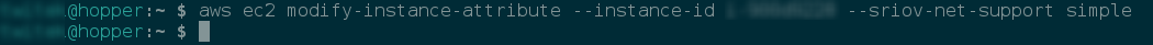 aws_enhanced_networking_set.png
