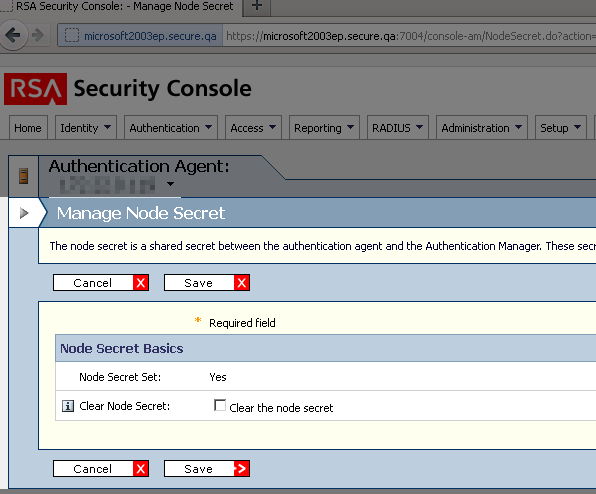 rsa-ace.png