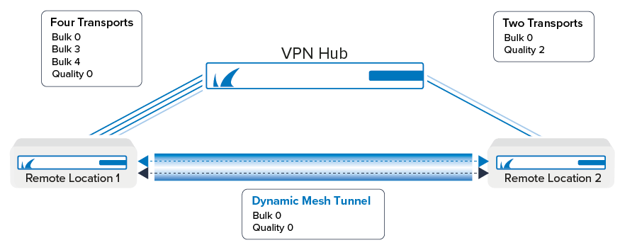 sdwan_dyn_mesh.png