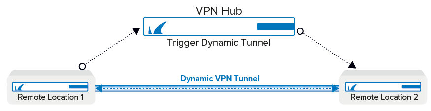 vpn_dyn_mesh.png