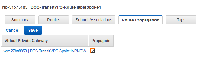 transitVPC_propagate_RT.png