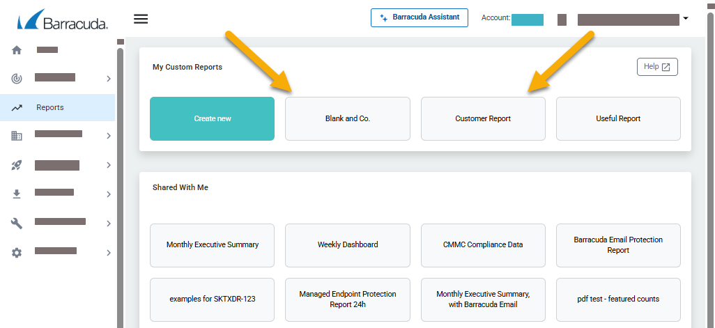 Report Options BA.png