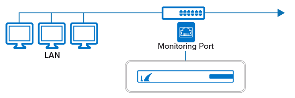 fw_local_bridge_pmonitor.png