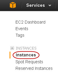 step7_instances.jpg