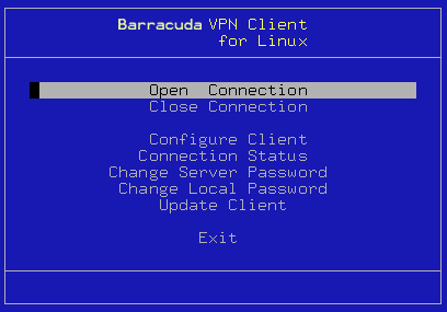 barracuda vpn client