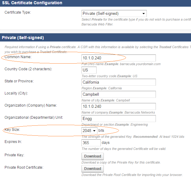 8.Private_selfsigned_ssl_cert_creation.png