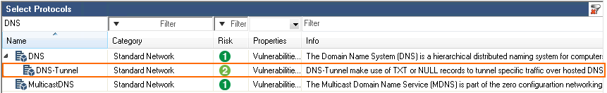 dns_tunnel.png