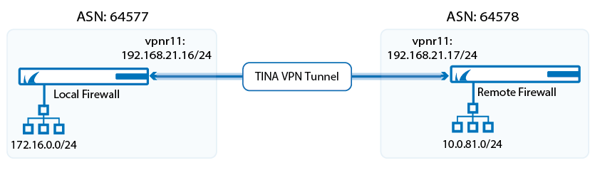bgp_over_tina_vpn.png