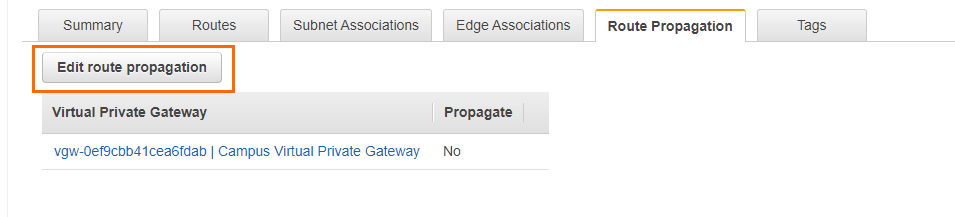 How To Configure An IKEv1 IPsec VPN To An AWS VPN Gateway With BGP ...