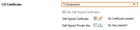outbound_TLS_Inspection_02.png