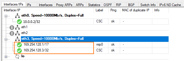 auto_pairing_interfaces_and_ips_after_pairing.png